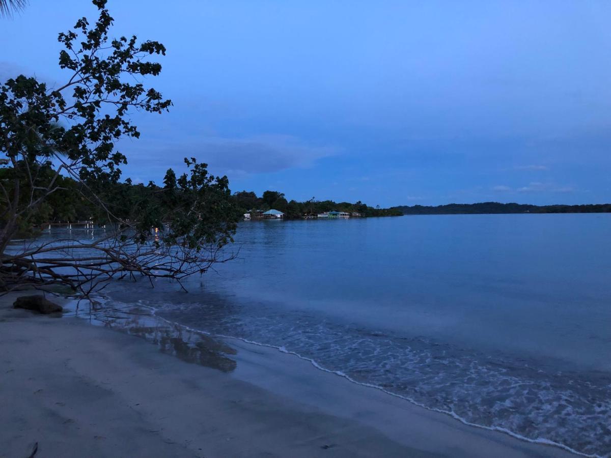 Sol Y Sombra Bed & Breakfast โบกัสทาวน์ ภายนอก รูปภาพ