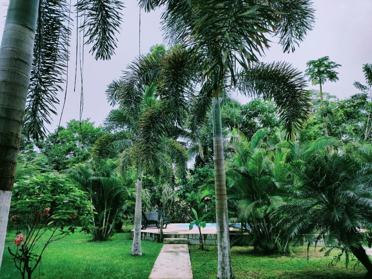 Sol Y Sombra Bed & Breakfast โบกัสทาวน์ ภายนอก รูปภาพ