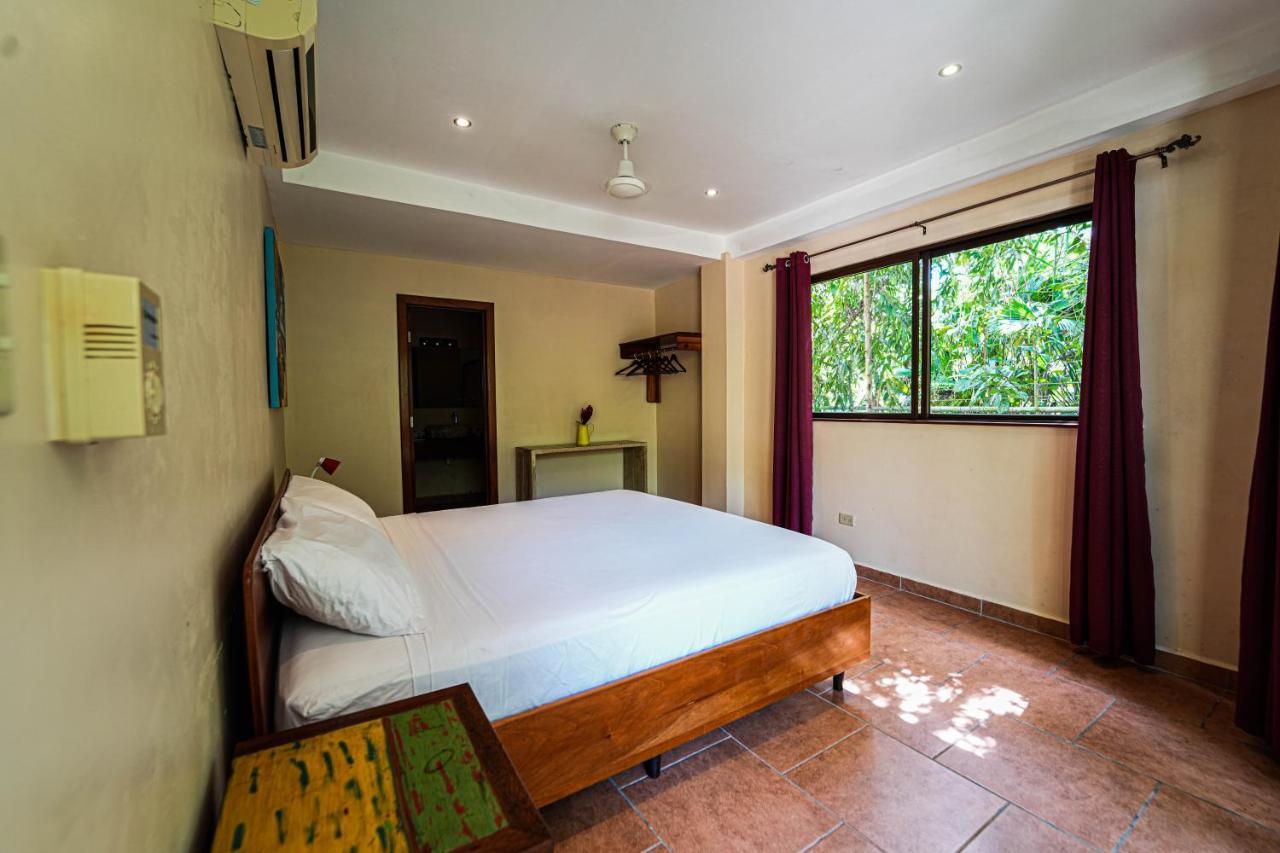 Sol Y Sombra Bed & Breakfast โบกัสทาวน์ ภายนอก รูปภาพ