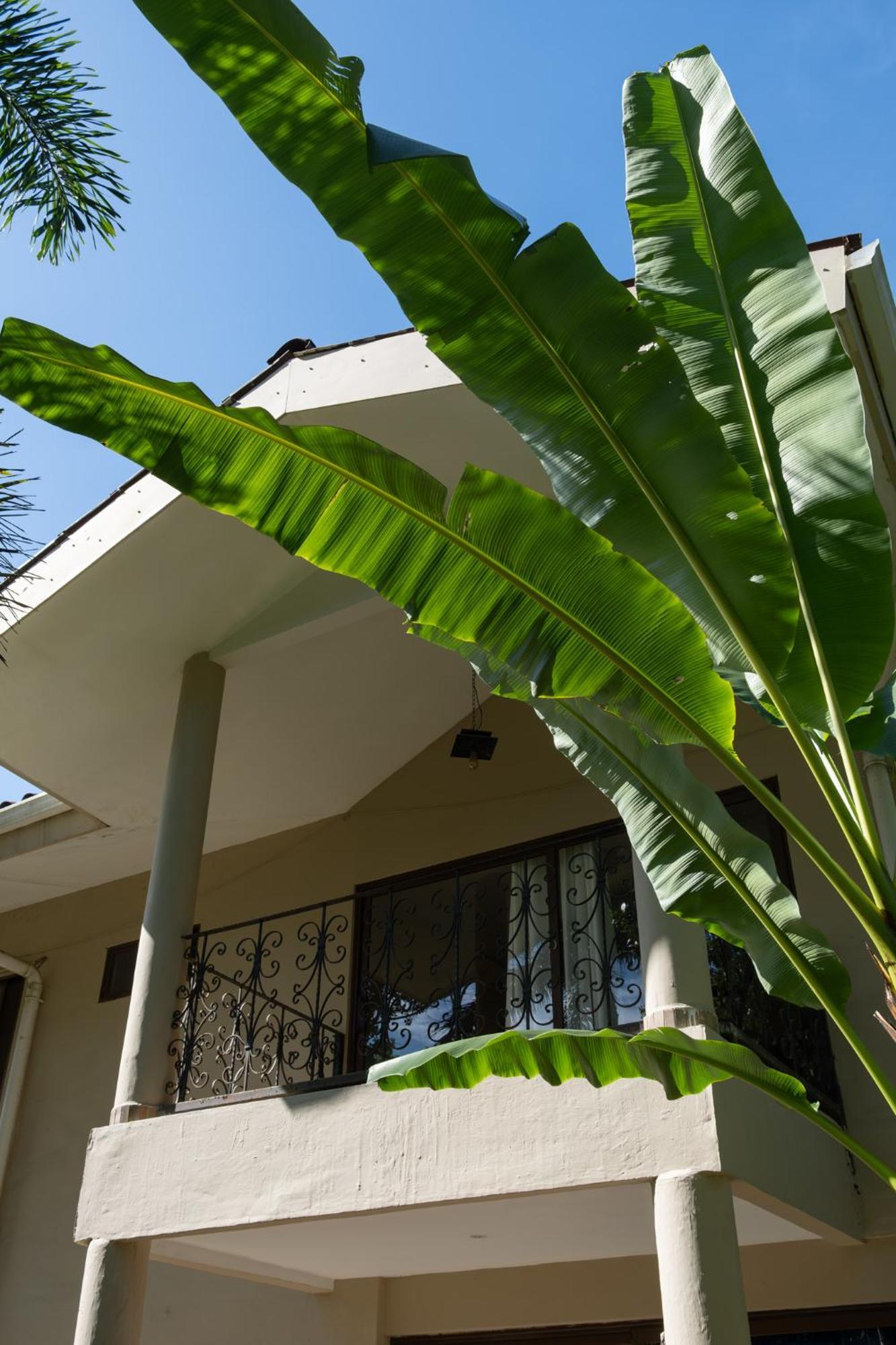 Sol Y Sombra Bed & Breakfast โบกัสทาวน์ ภายนอก รูปภาพ